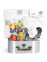 Baby Gift set newborn essentials